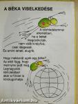 Amit a békákról feltétlenül tudni kell