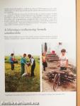 A magyarországi cigányság kultúrája: etnikus kultúra vagy a szegénység kultúrája