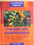 Energiát adó szobanövények