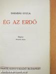 Ég az erdő