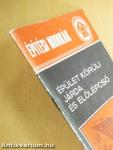 Épület körüli járda és előlépcső