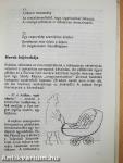 Anyanyelvünk játékai