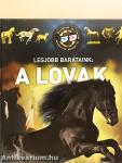 Legjobb barátaink: a lovak