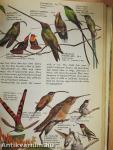 The Hamlyn Children's Animal World Encyclopedia in colour