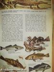 The Hamlyn Children's Animal World Encyclopedia in colour