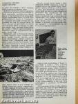Föld és Ég 1984. január-december