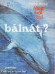 Meg kell ölni a bálnát?