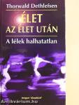 Élet az élet után