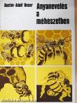 Anyanevelés a méhészetben