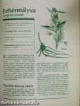 Gyógynövény enciklopédia