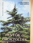 Fenyők és örökzöldek