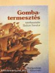 Gombatermesztés