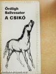 A csikó