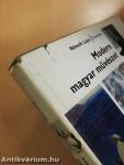 Modern magyar művészet