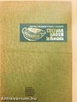 Cultura Baden in Romania