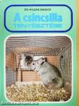 A csincsilla tenyésztése