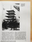 Mai japán építészet