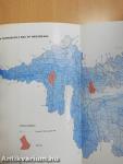 Balaton 1982