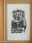 A flamand tábla rejtélye