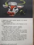 A magányosan sétáló macska
