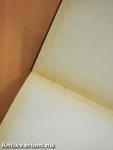 Az évszázadnál hosszabb ez a nap