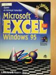 Microsoft Excel for Windows 95