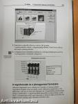 Microsoft Excel for Windows 95