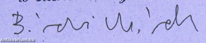 Integrációs stratégiák a magyar kisebbségek történetében (aláírt példány)