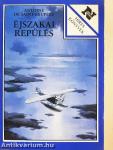 Éjszakai repülés