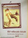 Két választás között