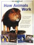 How Animals Work
