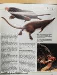 Mammals: Primates Insect-Eaters and Baleen Whales