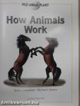How Animals Work