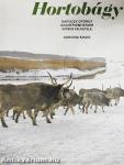 Hortobágy