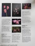 The Illustrated Encyclopedia of Orchids