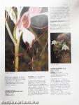 The Illustrated Encyclopedia of Orchids