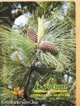 Prenor Kertészeti és Parképítő Kft. díszfaiskolai árjegyzék 2006. ősz-2007. tavasz