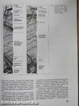 Magyarország geológiai képződményeinek rétegtana