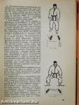 Cselgáncs (judo) és önvédelem (aikido)