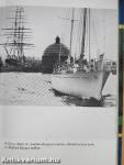 Gipsy Moth