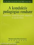 A konduktív pedagógiai rendszer hatékony működésének alapelvei és gyakorlata