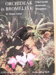 Orchideák és broméliák