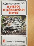 A vízből a szárazföldi életbe