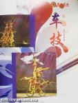 Beijing Chaoyang Theater Acrobatics World - CD-vel