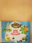 Rund um die Kastanie