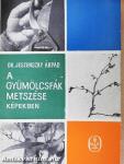 A gyümölcsfák metszése képekben