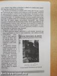 A csallóközi és mátyusföldi zsidó iskolák története 1845-1945