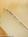 Asszony a viharban