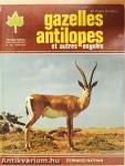 Gazelles antilopes et autres ongulés