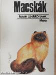 Macskák
